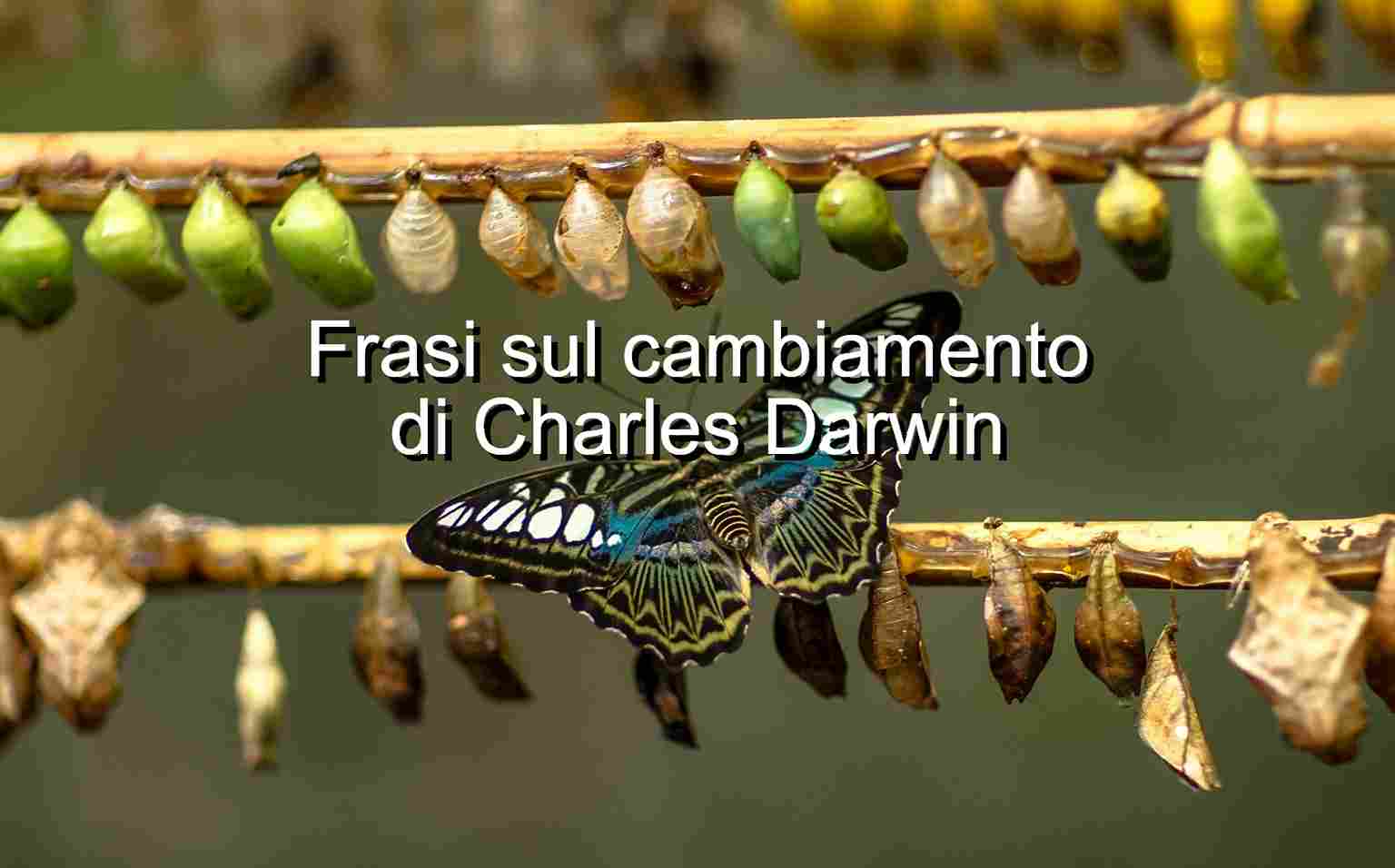 Frasi sul cambiamento di Charles Darwin