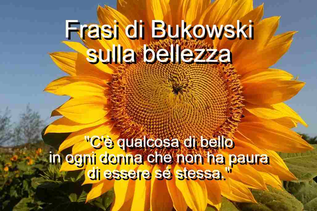 frasi di Bukowski sulla bellezza