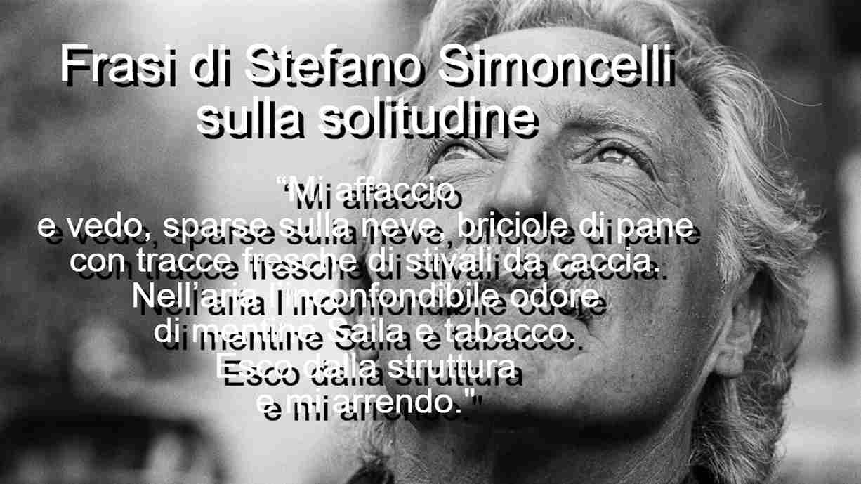 frasi di Stefano Simoncelli sulla solitudine