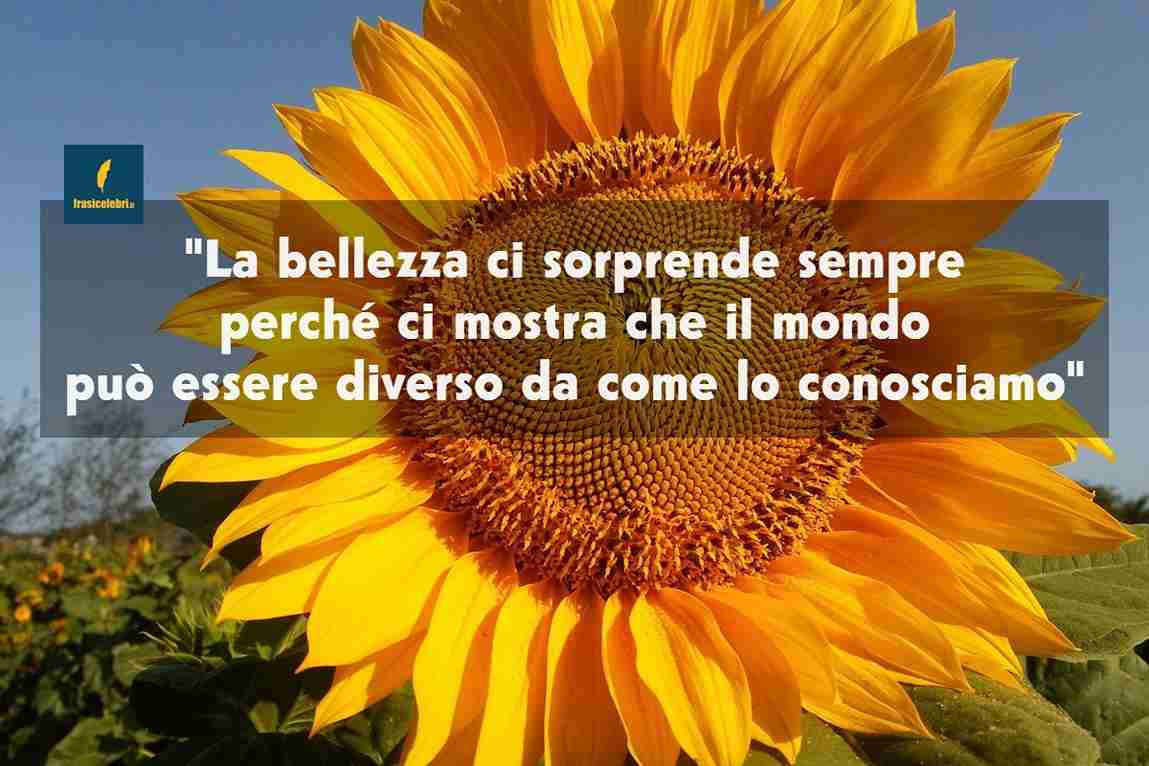 frasi di Alessandro Baricco sulla bellezza