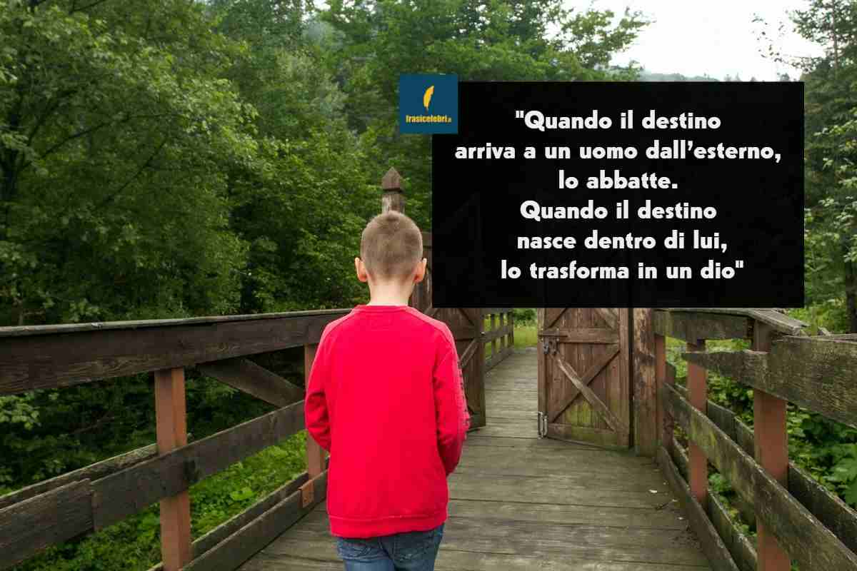 Frasi di Hermann Hesse sul destino