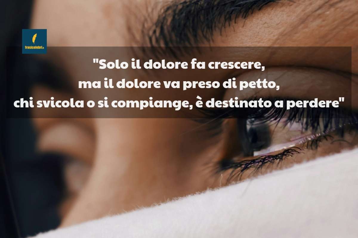 Frasi di Susanna Tamaro sul dolore