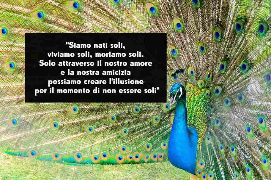 frasi di Baudelaire sulle illusioni