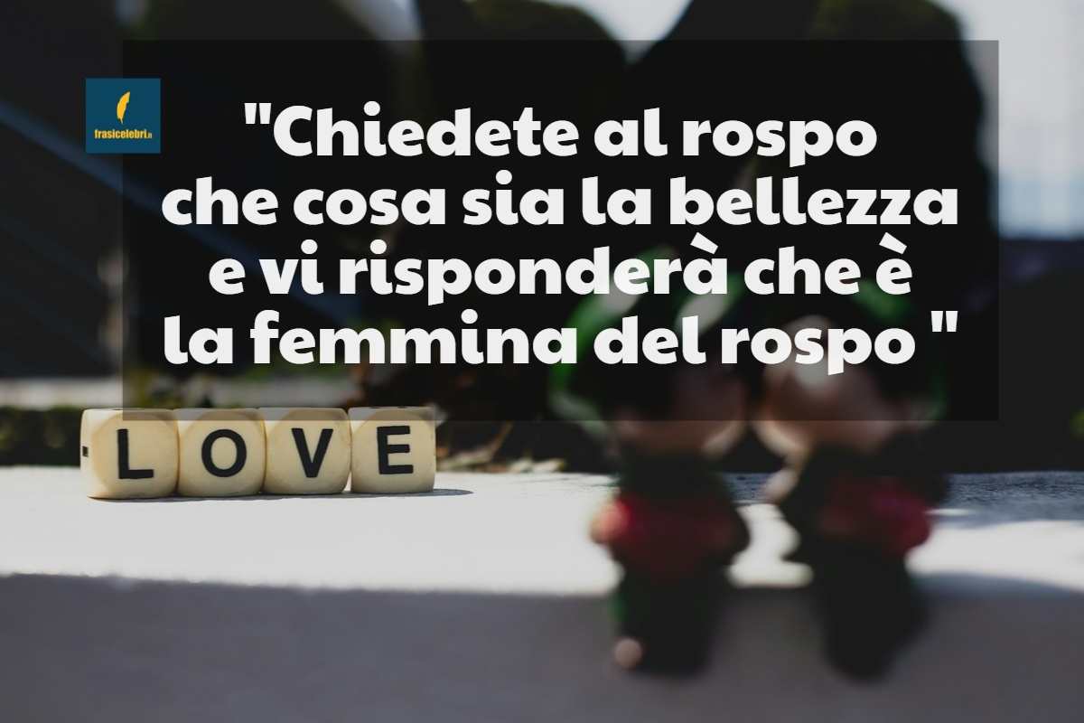 Frasi di Voltaire sulla bellezza