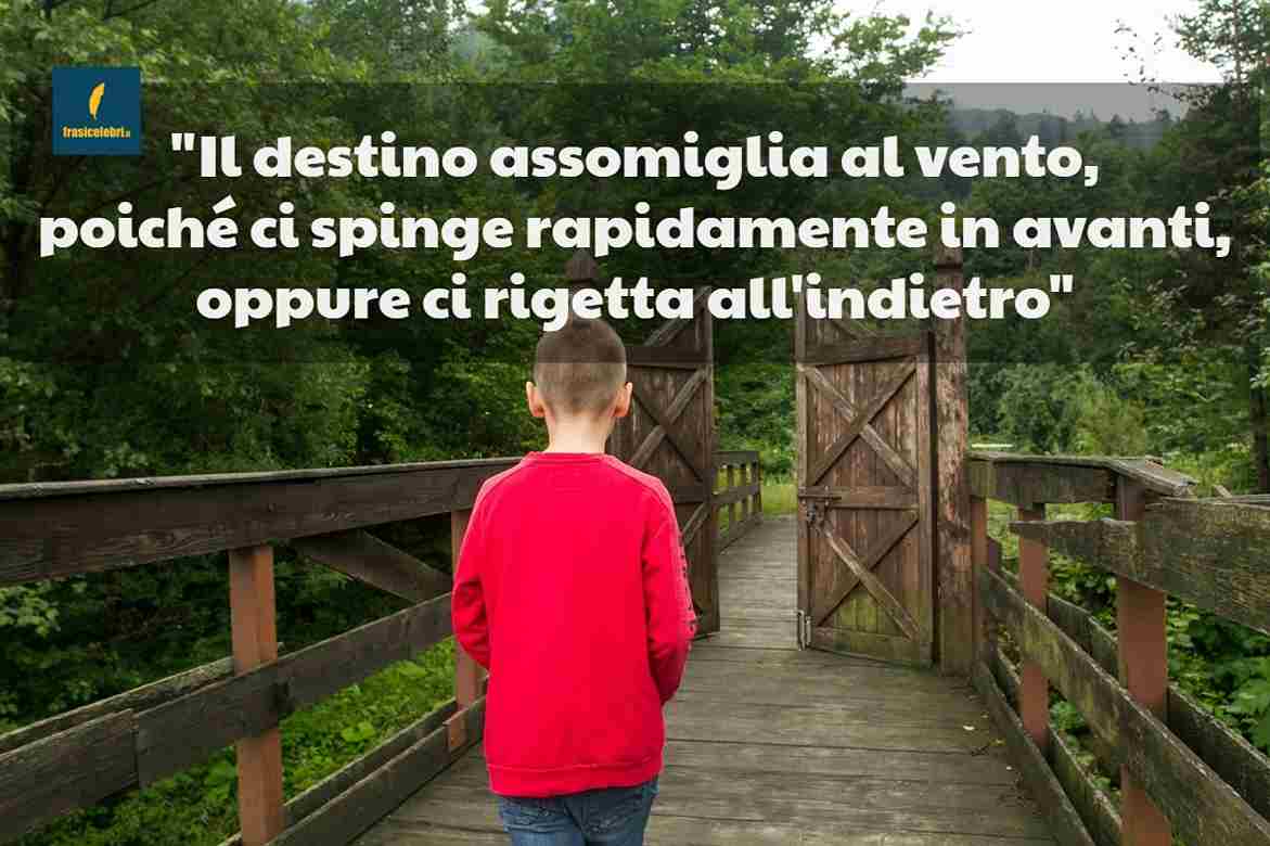Frasi di Schopenhauer sul destino