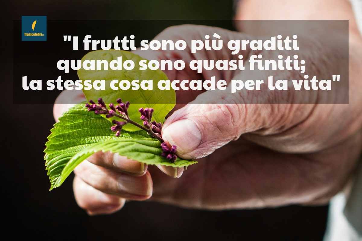 frase di Seneca sulla vecchiaia
