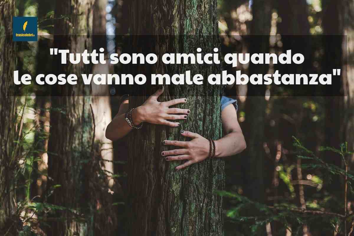 Frasi di E. Hemingway sull’amicizia