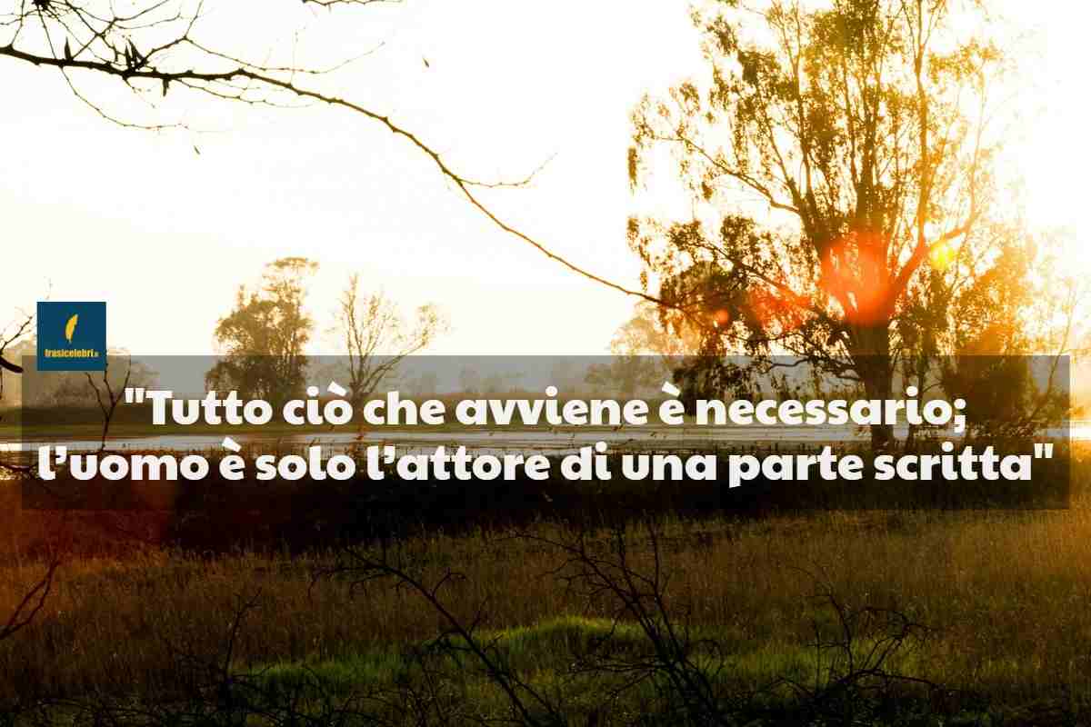 La frase di Schopenhauer sul destino
